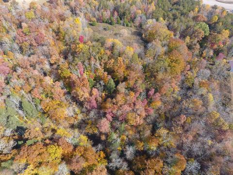 985 Gaines Rd, Nancy, KY 42544 photo 79