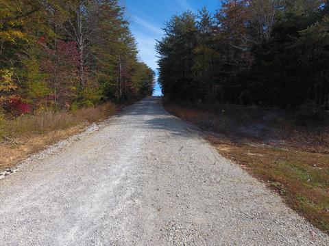 985 Gaines Rd, Nancy, KY 42544 photo 75