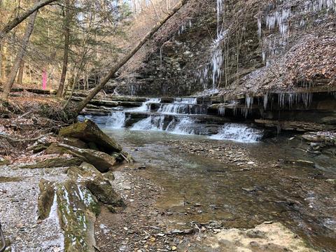 985 Gaines Rd, Nancy, KY 42544 photo 82