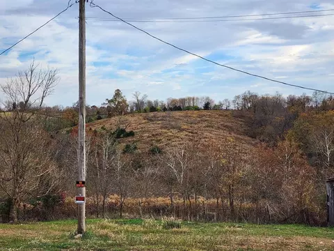 2443 Tea Run Rd, Ewing, KY 41039 photo 10