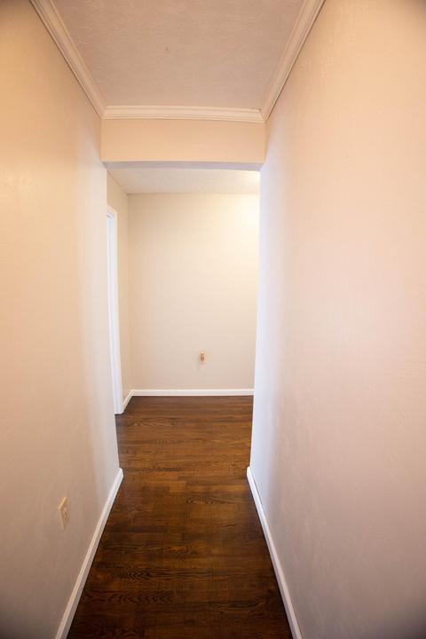 433 Coomer Rd, Burnside, KY 42519 photo 77