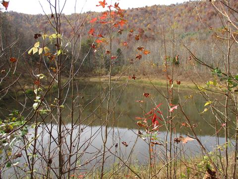5031 Wolf Creek Rd, Williamsburg, KY 40769