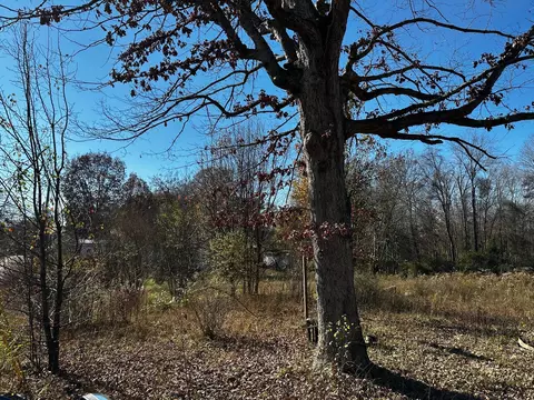 169 Foley Rd, Corbin, KY 40701 photo 4