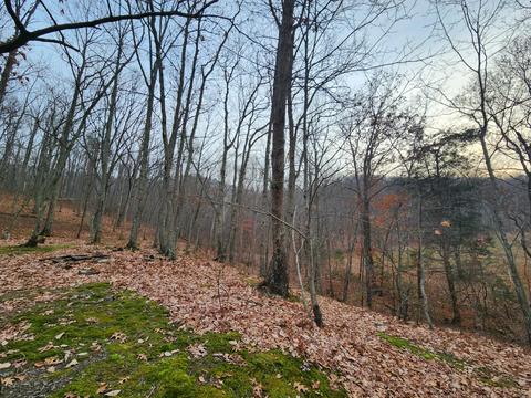 2708 Dreyfus Rd, Waco, KY 40385 photo 33