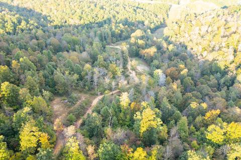 110 Acres Land Fleming Frk, Olive Hill, KY 41164