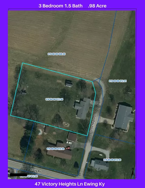 47 Victory Heights Ln, Ewing, KY 41039 photo 35