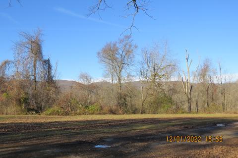 300 Hillside Dr, Baxter, KY 40806 photo 107