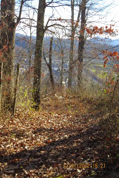 300 Hillside Dr, Baxter, KY 40806 photo 140