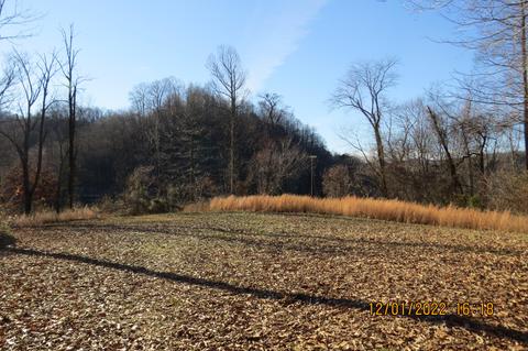 300 Hillside Dr, Baxter, KY 40806 photo 105
