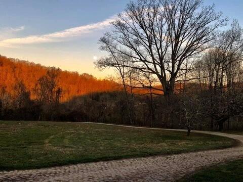 300 Hillside Dr, Baxter, KY 40806 photo 125