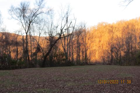 300 Hillside Dr, Baxter, KY 40806 photo 172