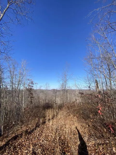 0 Big Branch Rd, Jackson, KY 41339 photo 5