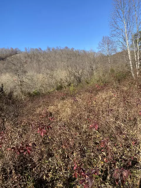 0 Big Branch Rd, Jackson, KY 41339 photo 6