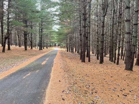 lot73 Edgewater, Russell Springs, KY 42642
