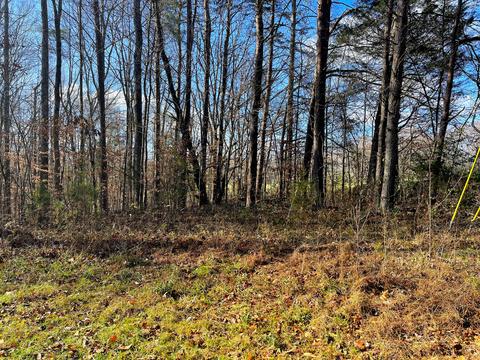 19 Whittle Ln, Russell Springs, KY 42642