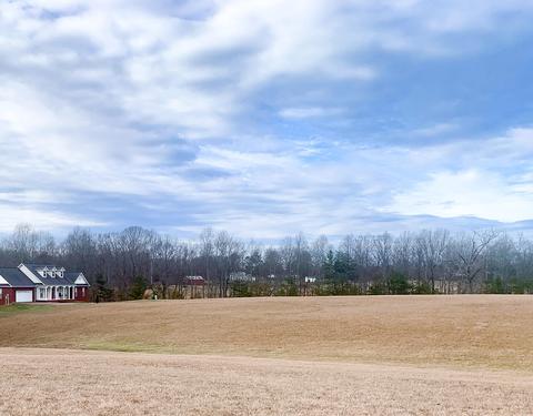 000 Pleasant Ridge Sub Plot 2528, Strunk, KY 42649 photo 7