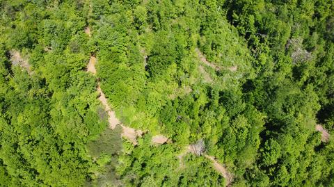 9999 Sukey Hollow Rd, Williamsburg, KY 40769