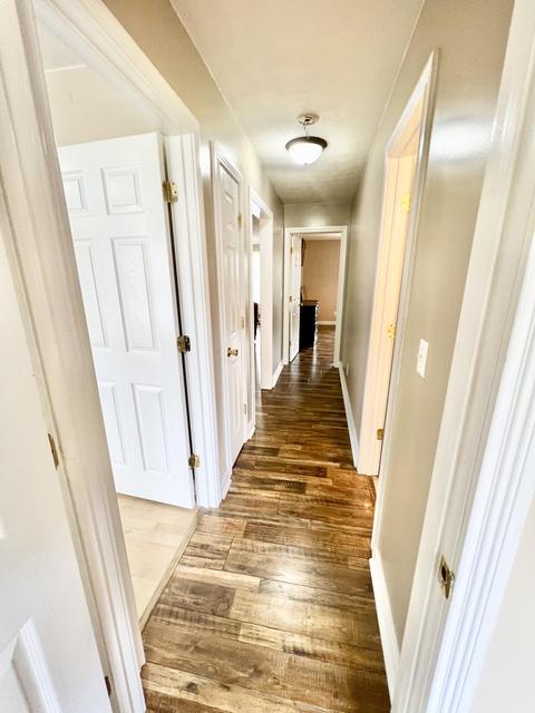 241 Grandview Ln, Strunk, KY 42649 photo 12