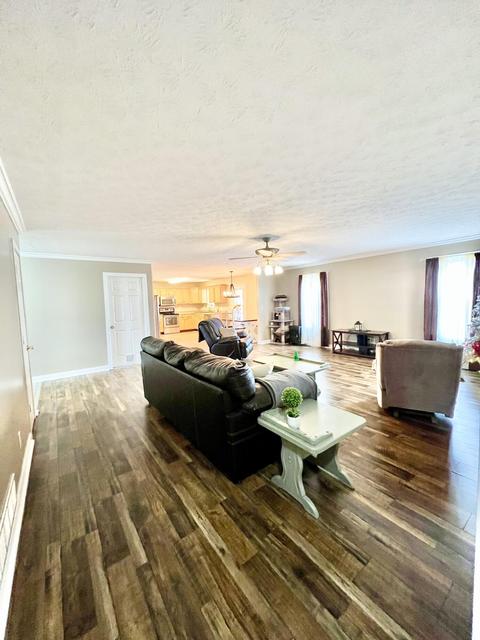 241 Grandview Ln, Strunk, KY 42649 photo 5