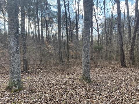 101 Harbor Dr, Jamestown, KY 42629