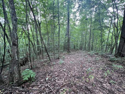 3843 Tidal Wave Rd, Rockholds, KY 40759 photo 14