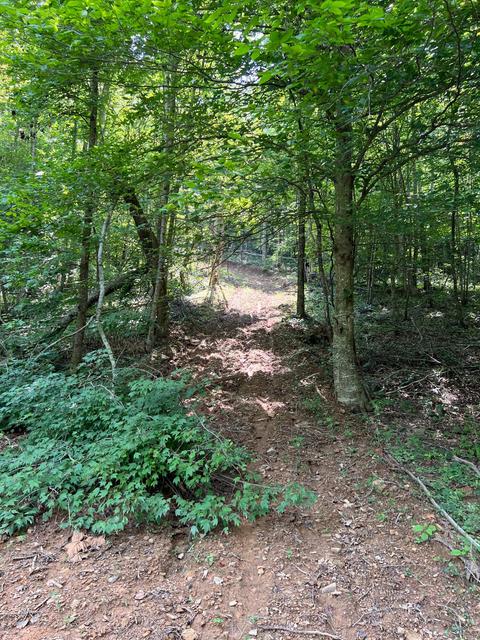 3843 Tidal Wave Rd, Rockholds, KY 40759 photo 16
