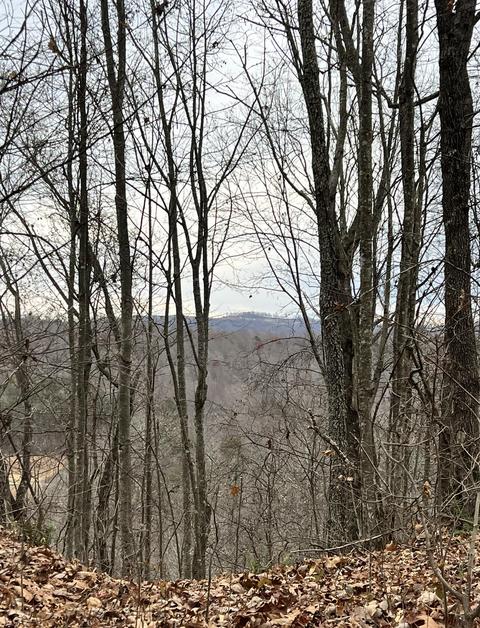 3843 Tidal Wave Rd, Rockholds, KY 40759 photo 9