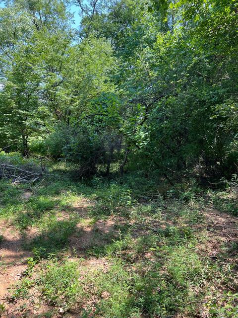 3843 Tidal Wave Rd, Rockholds, KY 40759 photo 18