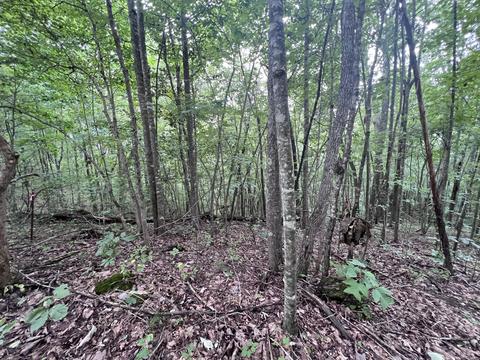 3843 Tidal Wave Rd, Rockholds, KY 40759 photo 13