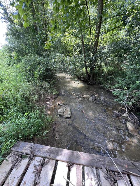 3843 Tidal Wave Rd, Rockholds, KY 40759 photo 15