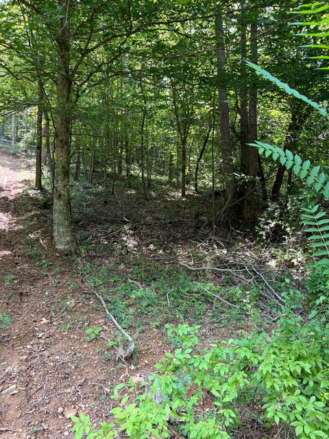 3843 Tidal Wave Rd, Rockholds, KY 40759 photo 17