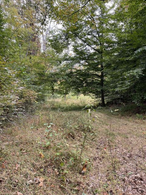 14685 Morehead Road Rd, Wallingford, KY 41093
