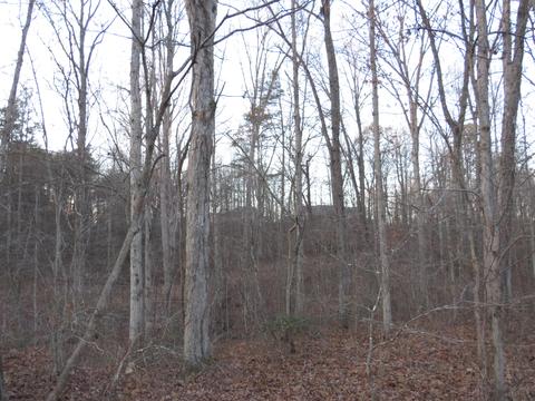 9999 Edgewater Rd, Corbin, KY 40702