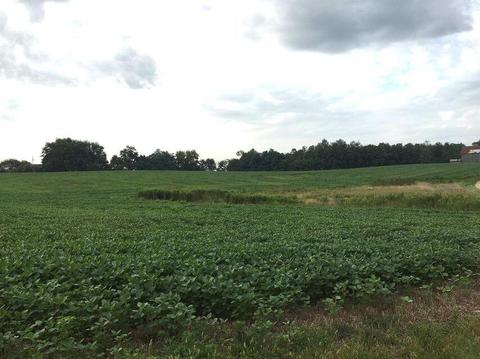 116 Hidden Creek Dr, Georgetown, KY 40324