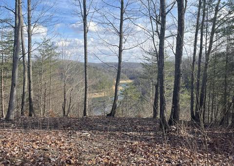 lot63 Sandstone Pt, Monticello, KY 42633