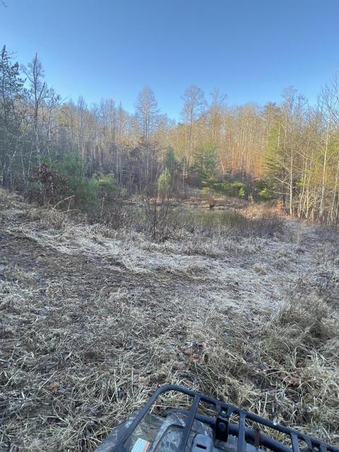 0000 Goff Profitt Rd, Campton, KY 41301 photo 3