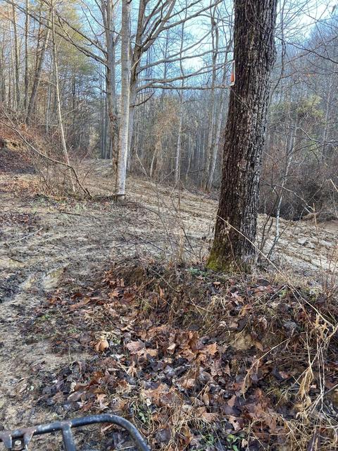 0000 Goff Profitt Rd, Campton, KY 41301 photo 7