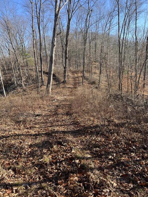 0000 Goff Profitt Rd, Campton, KY 41301 photo 14