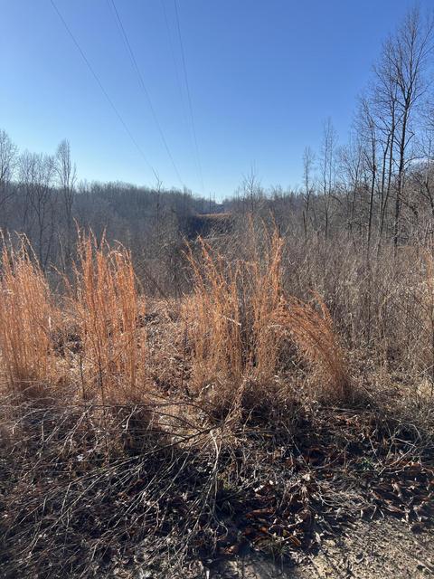 0000 Goff Profitt Rd, Campton, KY 41301 photo 18