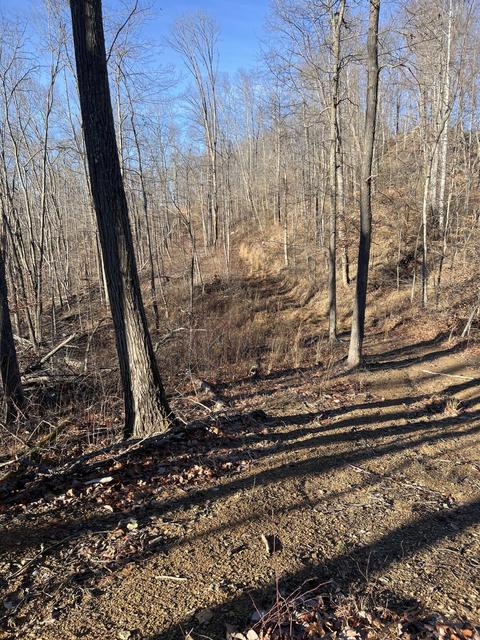 0000 Goff Profitt Rd, Campton, KY 41301 photo 17