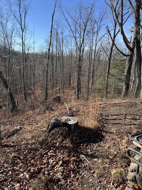 0000 Goff Profitt Rd, Campton, KY 41301 photo 13