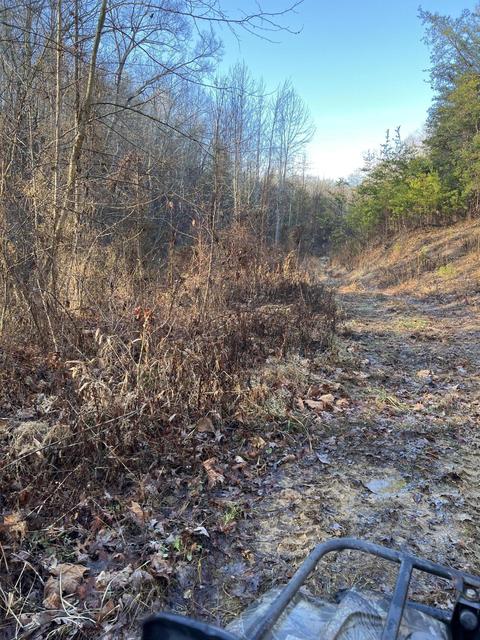 0000 Goff Profitt Rd, Campton, KY 41301 photo 8