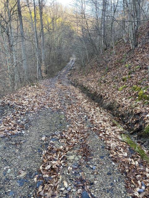 0000 Goff Profitt Rd, Campton, KY 41301 photo 6