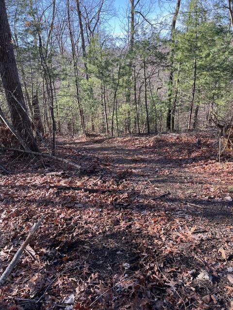 0000 Goff Profitt Rd, Campton, KY 41301 photo 10