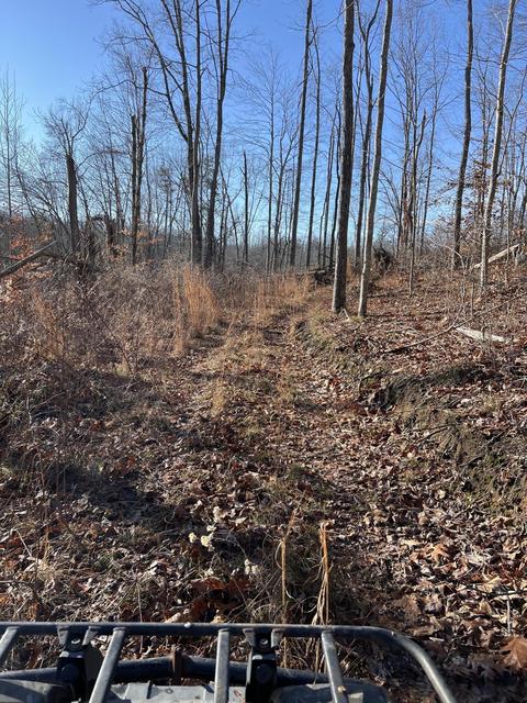 0000 Goff Profitt Rd, Campton, KY 41301 photo 15