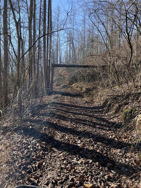 0000 Goff Profitt Rd, Campton, KY 41301 photo 19