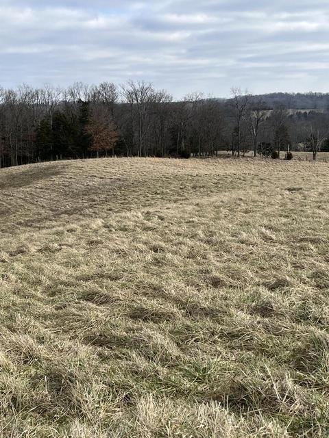 6 Grover Criswell Road, Cynthiana, KY 41031
