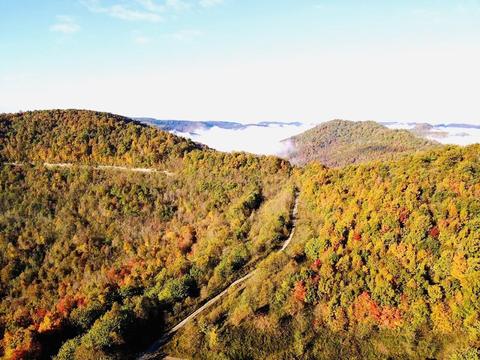 99999999 Hwy 92, Pineville, KY 40977