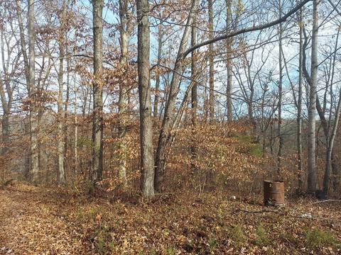 0 Sugar 2 Rd, Jabez, KY 42544