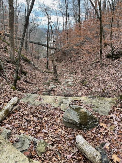 995 Campbell Rd, Nancy, KY 42544 photo 7